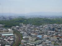 　　　9日前に撮ったばかり