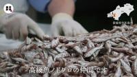 じゃこ天製造「安岡蒲鉾」のサイトより