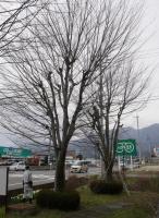 作業中
