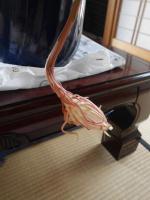 翌朝
